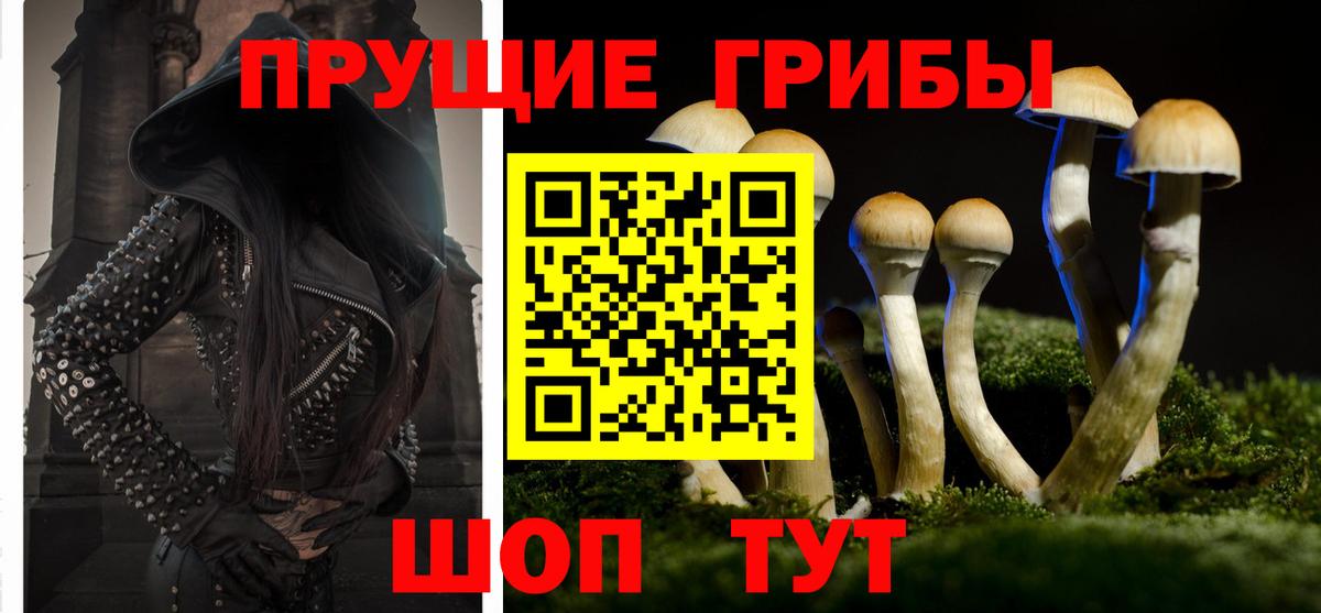 Лосино-Петровский  Псилоцибиновые грибы Magic Shrooms  что такое   Вход с VPN 